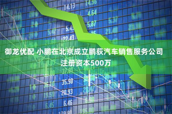 御龙优配 小鹏在北京成立鹏荻汽车销售服务公司  注册资本500万