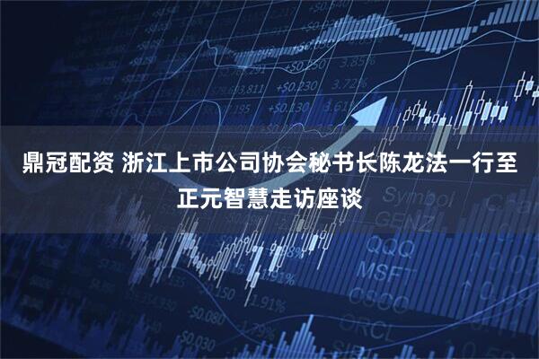 鼎冠配资 浙江上市公司协会秘书长陈龙法一行至正元智慧走访座谈