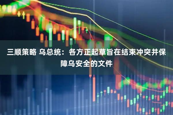 三顺策略 乌总统：各方正起草旨在结束冲突并保障乌安全的文件