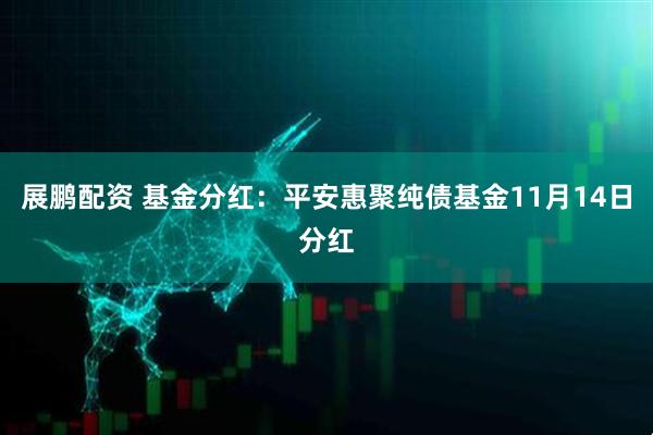 展鹏配资 基金分红：平安惠聚纯债基金11月14日分红