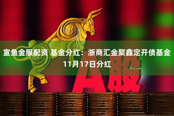 宣鱼金服配资 基金分红：浙商汇金聚鑫定开债基金11月17日分红